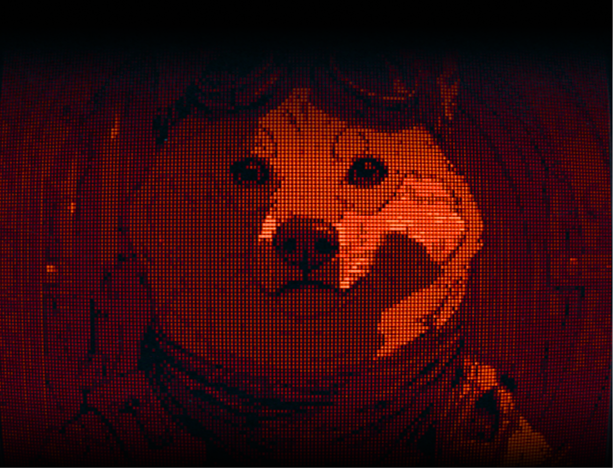 DogeOS Grand Heist